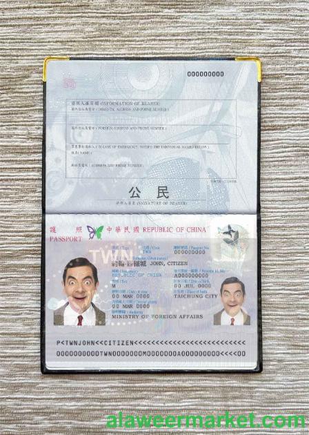 Taiwan passport photo look